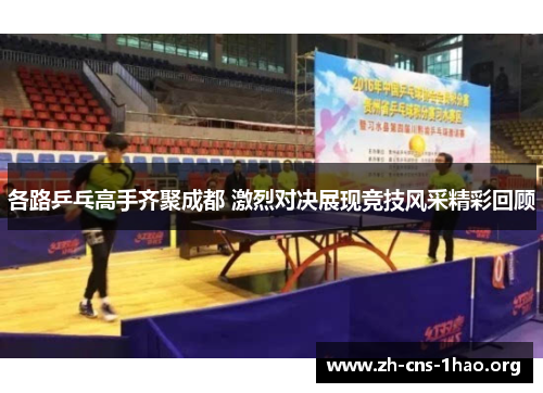各路乒乓高手齐聚成都 激烈对决展现竞技风采精彩回顾