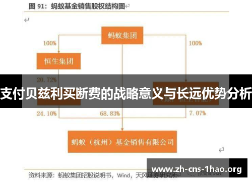 支付贝兹利买断费的战略意义与长远优势分析