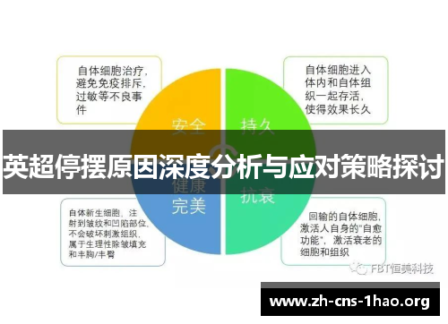 英超停摆原因深度分析与应对策略探讨